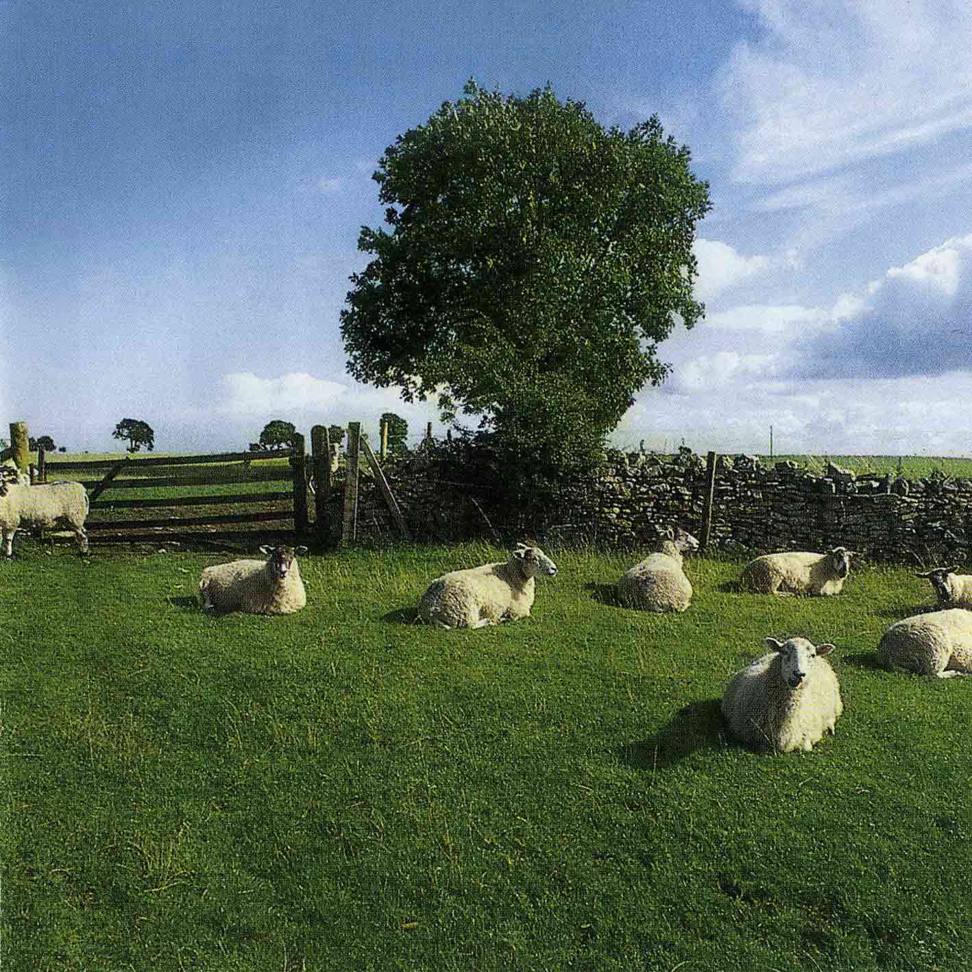 The KLF - 1990 "Chill Out"   Audio CD